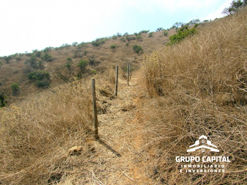 Parcelas 10.000 M² en Lomas del Cajón de San Pedro, Quillota