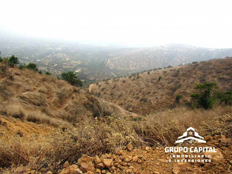Parcelas 10.000 M² en Lomas del Cajón de San Pedro, Quillota