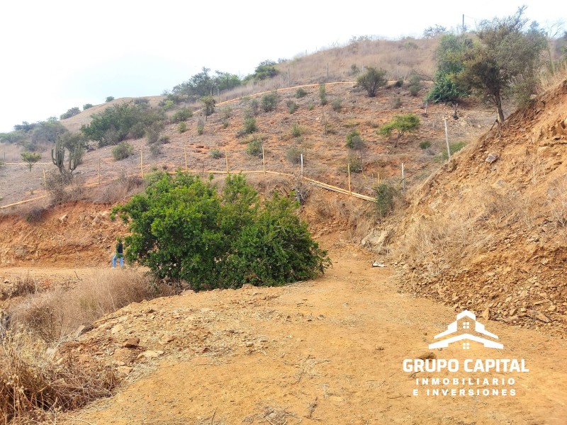 Parcelas 10.000 M² en Lomas del Cajón de San Pedro, Quillota