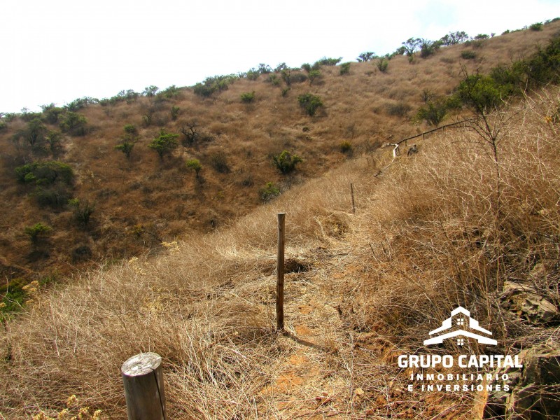 Parcelas 10.000 M² en Lomas del Cajón de San Pedro, Quillota