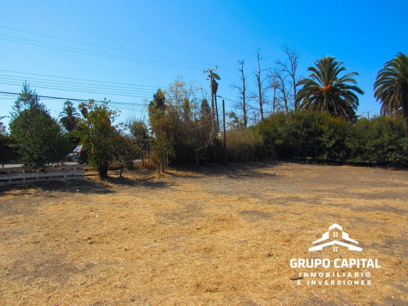 Terreno Comercial en la Palma, Quillota