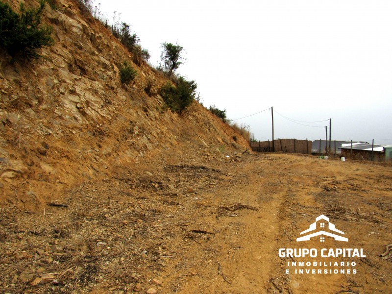 Parcelas 10.000 M² en Lomas del Cajón de San Pedro, Quillota