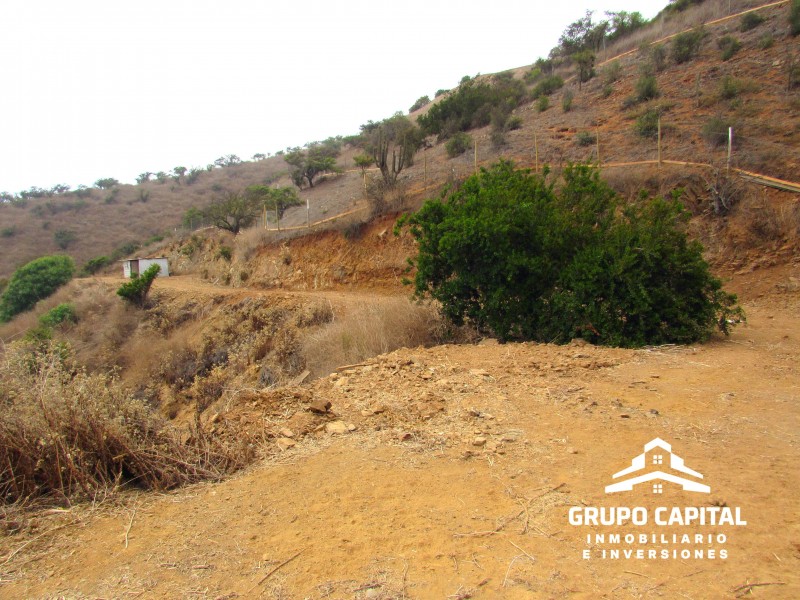 Parcelas 10.000 M² en Lomas del Cajón de San Pedro, Quillota