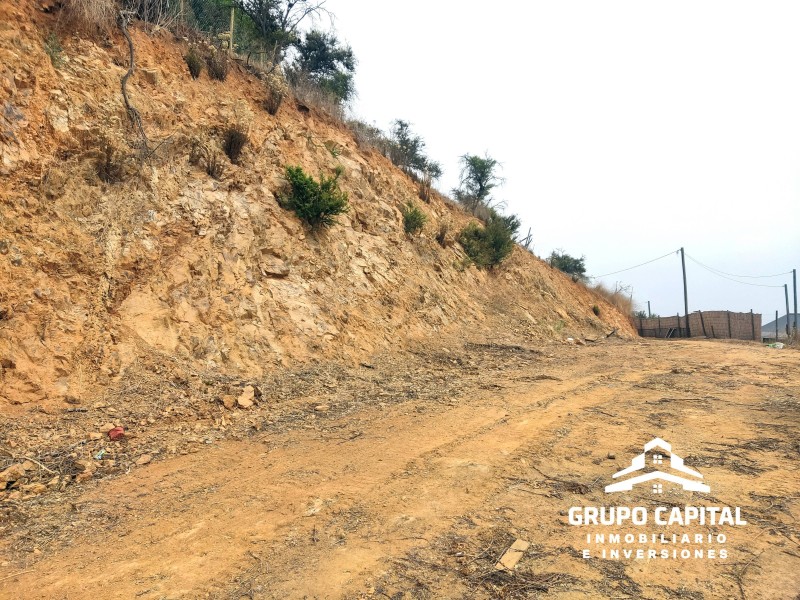 Parcelas 10.000 M² en Lomas del Cajón de San Pedro, Quillota