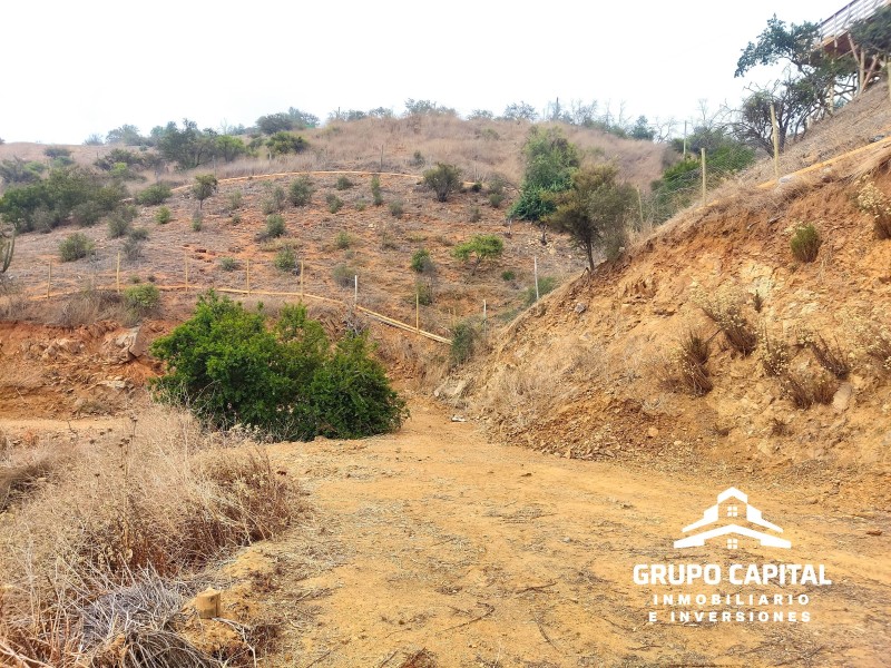 Parcelas 10.000 M² en Lomas del Cajón de San Pedro, Quillota