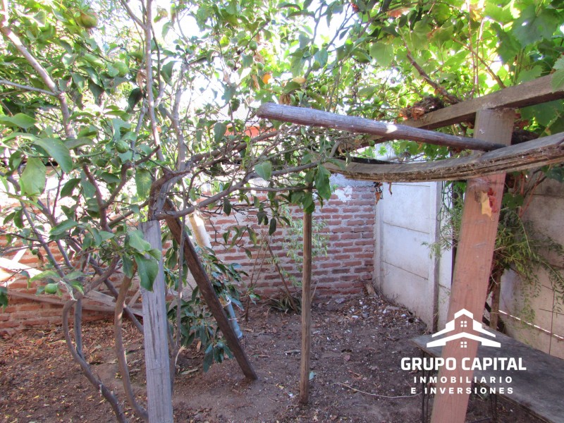 Casa Con Patio y Árboles Frutales en los Lúcumos, Quillota