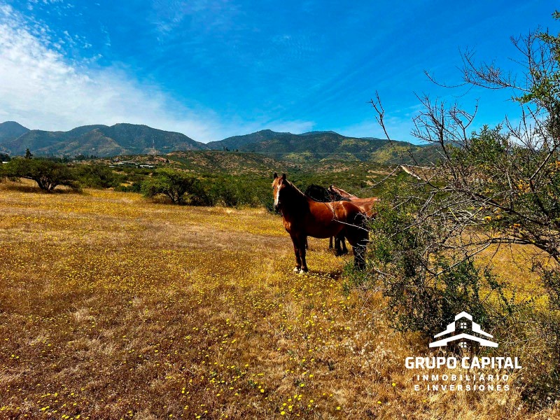 Parcelas Premium 5.000 M² | Country Zapallar