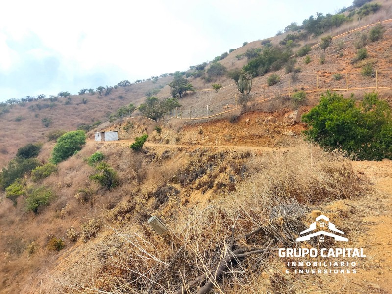 Parcelas 10.000 M² en Lomas del Cajón de San Pedro, Quillota