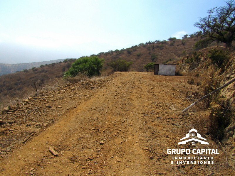 Parcelas 10.000 M² en Lomas del Cajón de San Pedro, Quillota