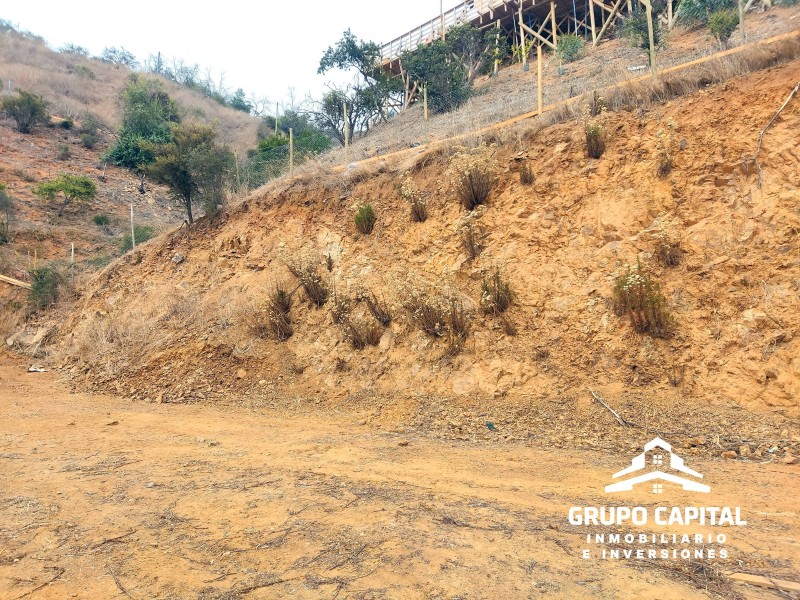 Parcelas 10.000 M² en Lomas del Cajón de San Pedro, Quillota
