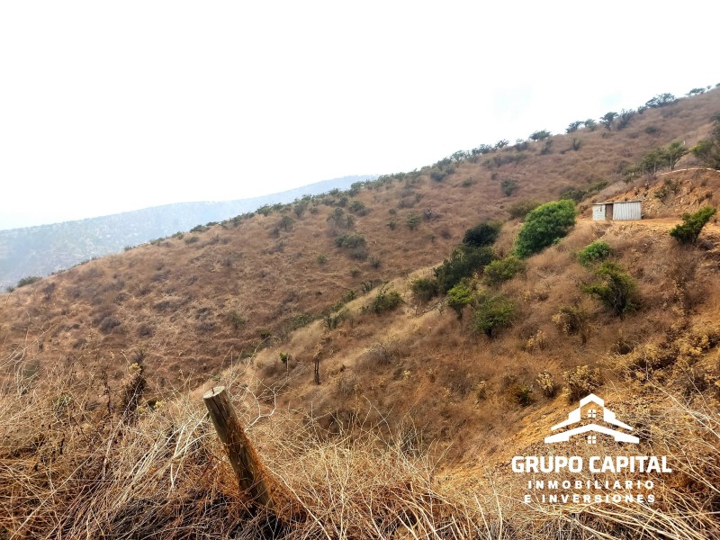Parcelas 10.000 M² en Lomas del Cajón de San Pedro, Quillota
