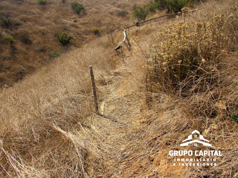 Parcelas 10.000 M² en Lomas del Cajón de San Pedro, Quillota