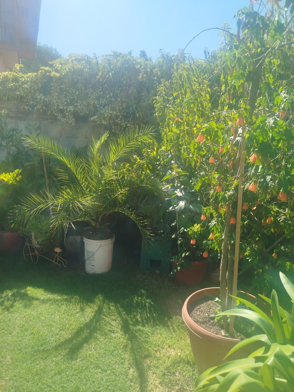 Linda Casa en Villa Torino