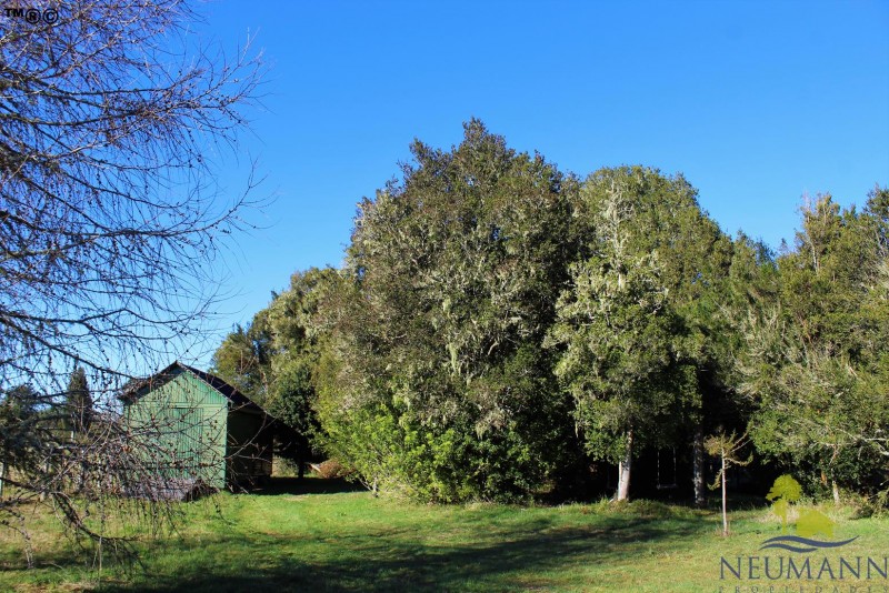 Preciosa Parque 3,3Ha Minutos Puente Chacao Ancud Chiloe