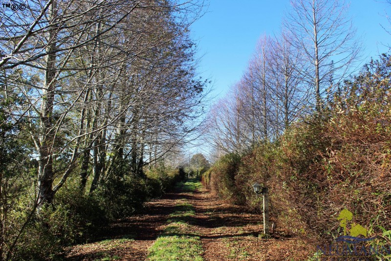 Preciosa Parque 3,3Ha Minutos Puente Chacao Ancud Chiloe