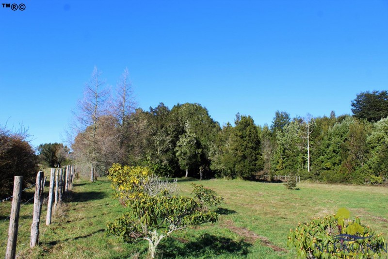 Preciosa Parque 3,3Ha Minutos Puente Chacao Ancud Chiloe