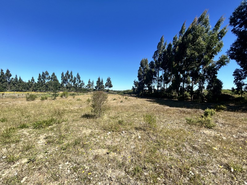 Parcela en Graneros de Pto Varas Condominio Consolidado