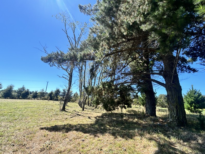 Terreno Parcelación el Alba Golf Park, Ubicación Estratégica