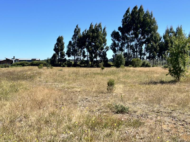 Parcela en Graneros de Pto Varas Condominio Consolidado