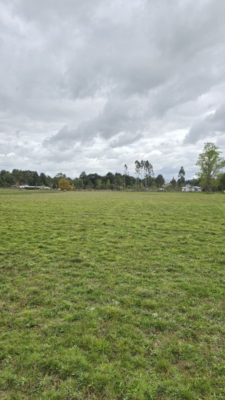 Rica Parcela Plana en Puerto Octay