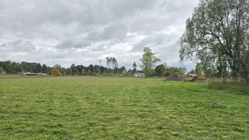 Rica Parcela Plana en Puerto Octay