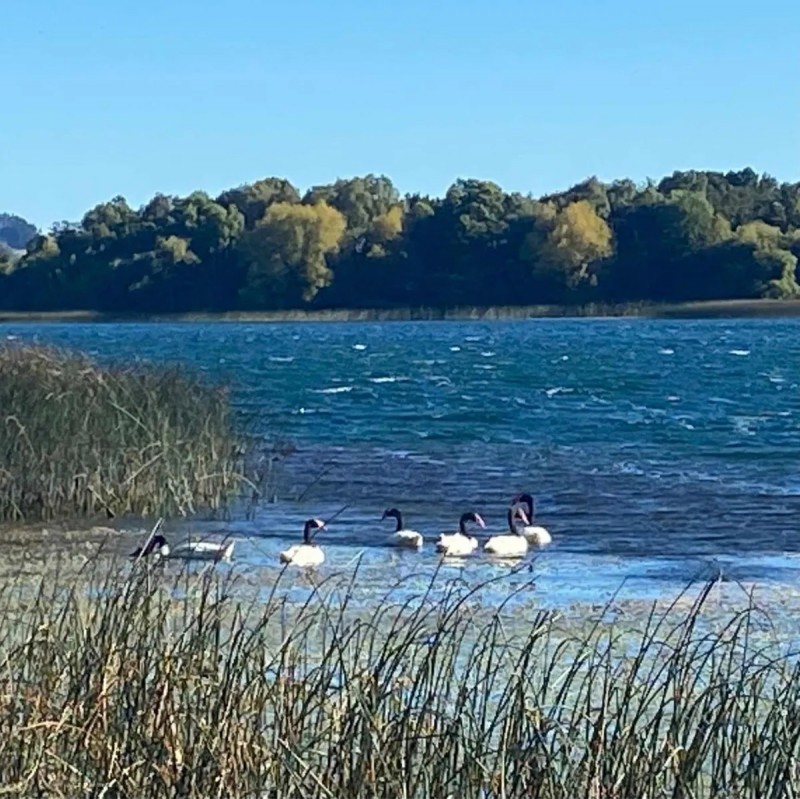 Espectacular Parcela Con Acceso Al Lago y Bahía.-