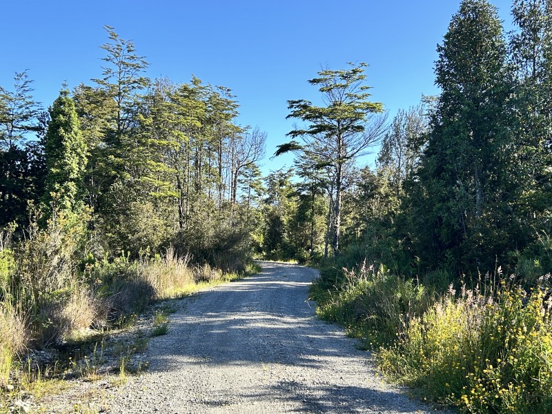 Parcelas en Camino las Lomas