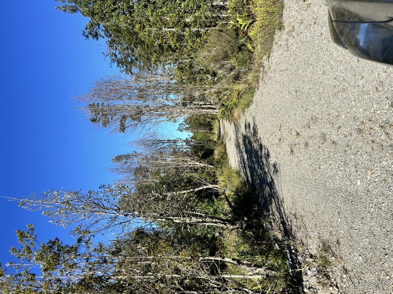 Parcelas en Camino las Lomas