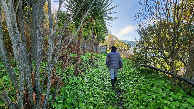 Terreno Con Orilla de Mar en Chinquihue, Puerto Montt