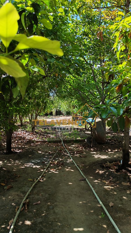 Casa Con Amplio Terreno en Villa Numpay, A 15 Min. de Talca