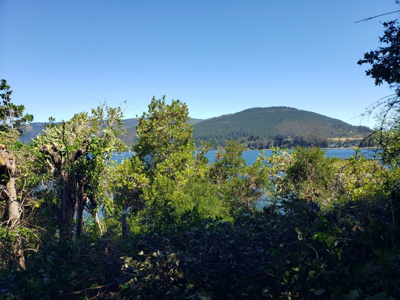 Venta Parcela Con Tres Casas y Acceso Privado Lago Lanalhue