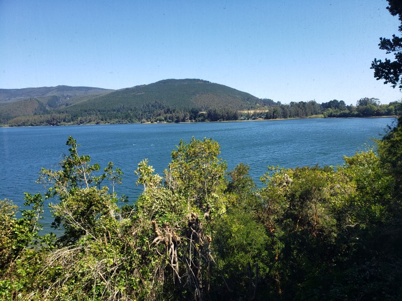 Venta Parcela Con Tres Casas y Acceso Privado Lago Lanalhue