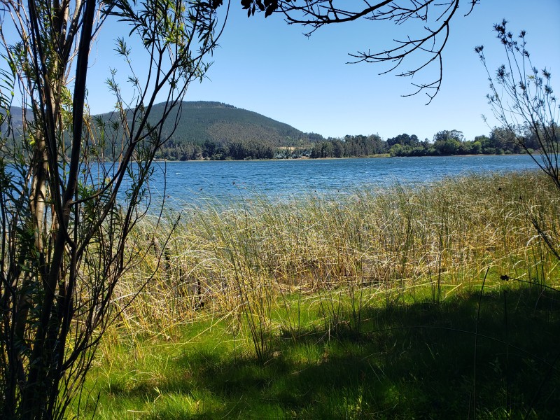 Venta Parcela Con Tres Casas y Acceso Privado Lago Lanalhue