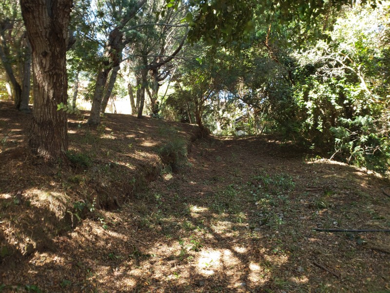 Venta Parcela Con Tres Casas y Acceso Privado Lago Lanalhue