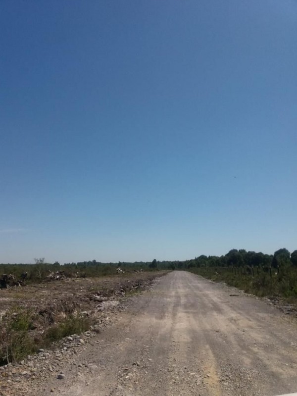 Se Vende Parcela – Proyecto los Maderos, Puerto Varas