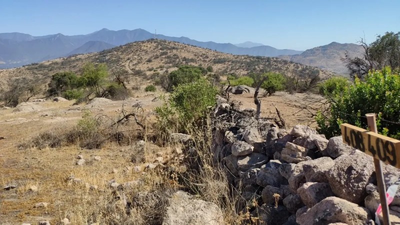 Copequen Parcela