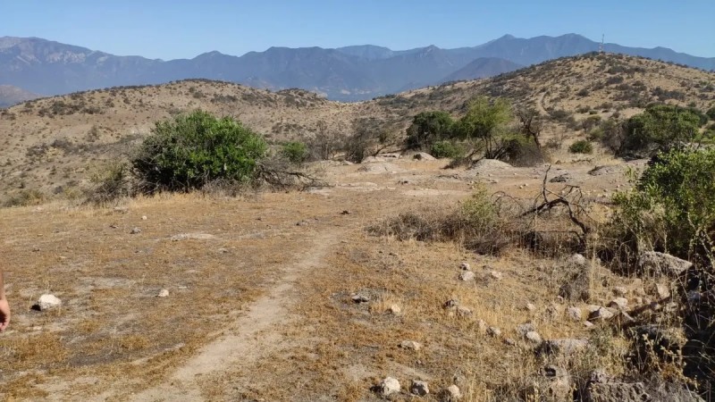 Copequen Parcela
