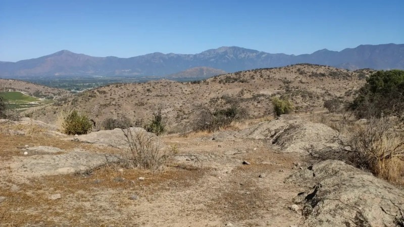 Copequen Parcela