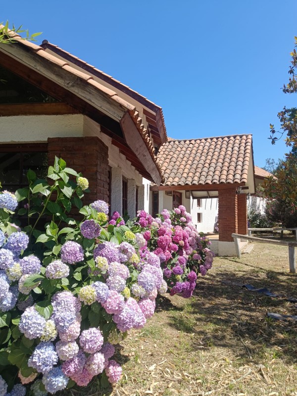 Vendo Parcela Con Hermosa Casa de Campo en Requinoa