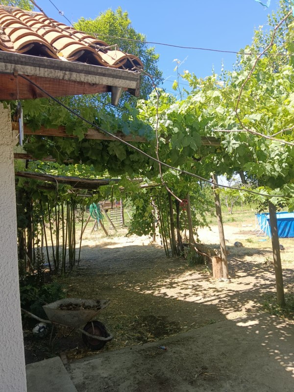 Vendo Parcela Con Hermosa Casa de Campo en Requinoa