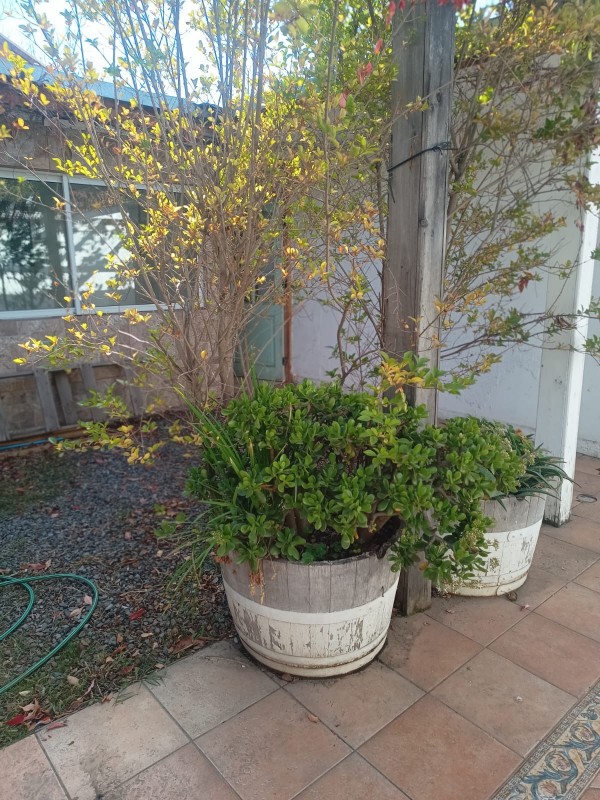 Casa para Empresas en Josefina Granger, Centro en Rancagua