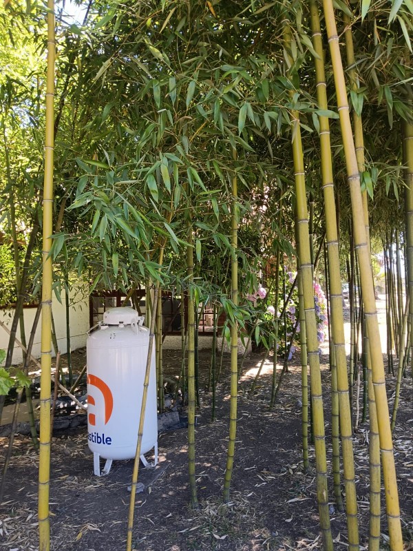 Vendo Parcela Con Hermosa Casa de Campo en Requinoa