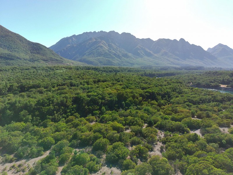 Exclusivas Parcelas las Pilcas en San Fabián Alico