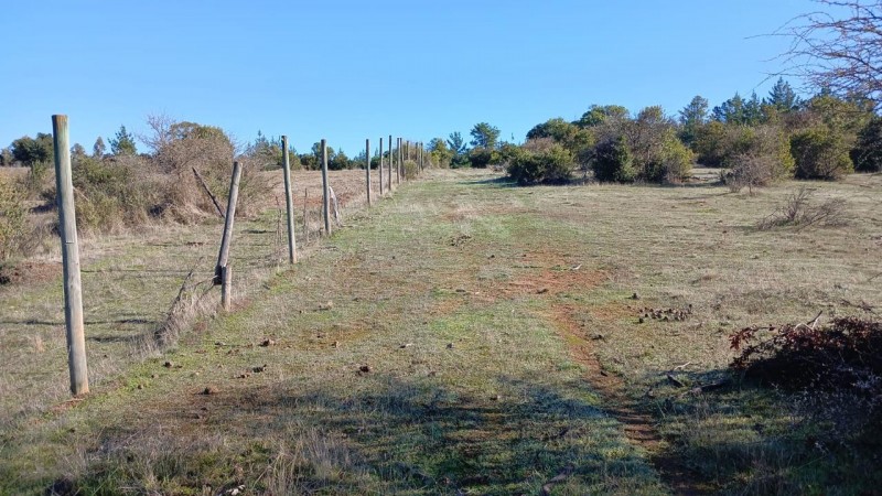 Oportunidad de Inversión en el Sector las Tunas