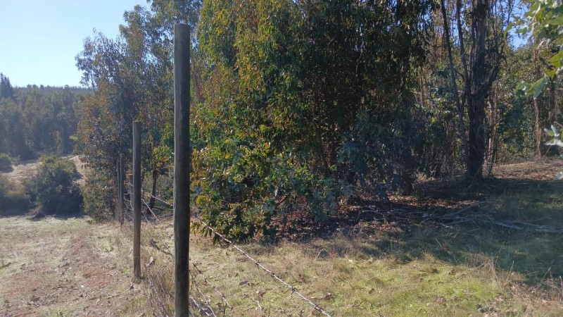 Oportunidad de Inversión en el Sector las Tunas