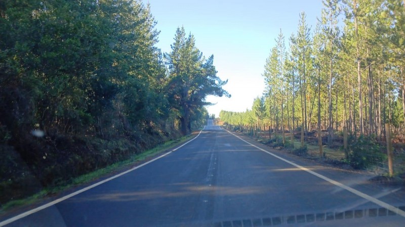 Oportunidad de Inversión en el Sector las Tunas