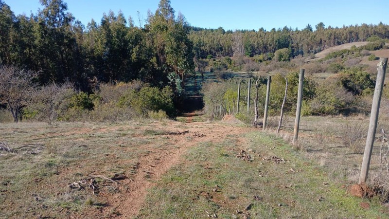 Oportunidad de Inversión en el Sector las Tunas