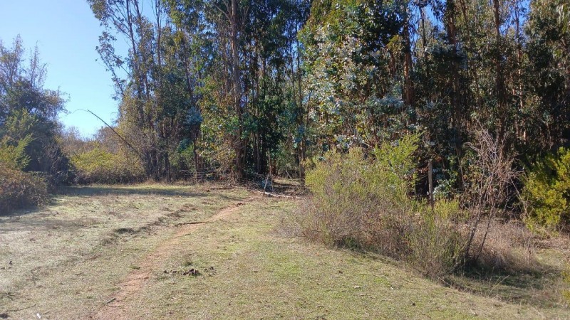 Oportunidad de Inversión en el Sector las Tunas