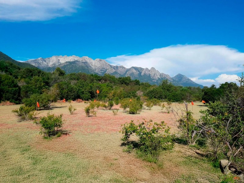 Exclusivas Parcelas las Pilcas en San Fabián Alico