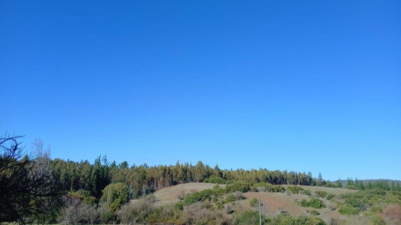 Oportunidad de Inversión en el Sector las Tunas